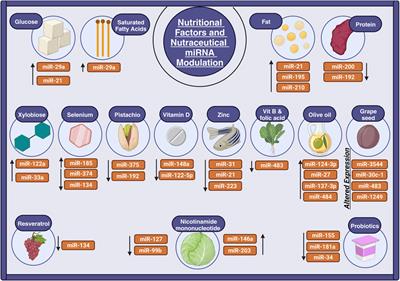 Decoding the secrets of longevity: unraveling nutraceutical and miRNA-Mediated aging pathways and therapeutic strategies